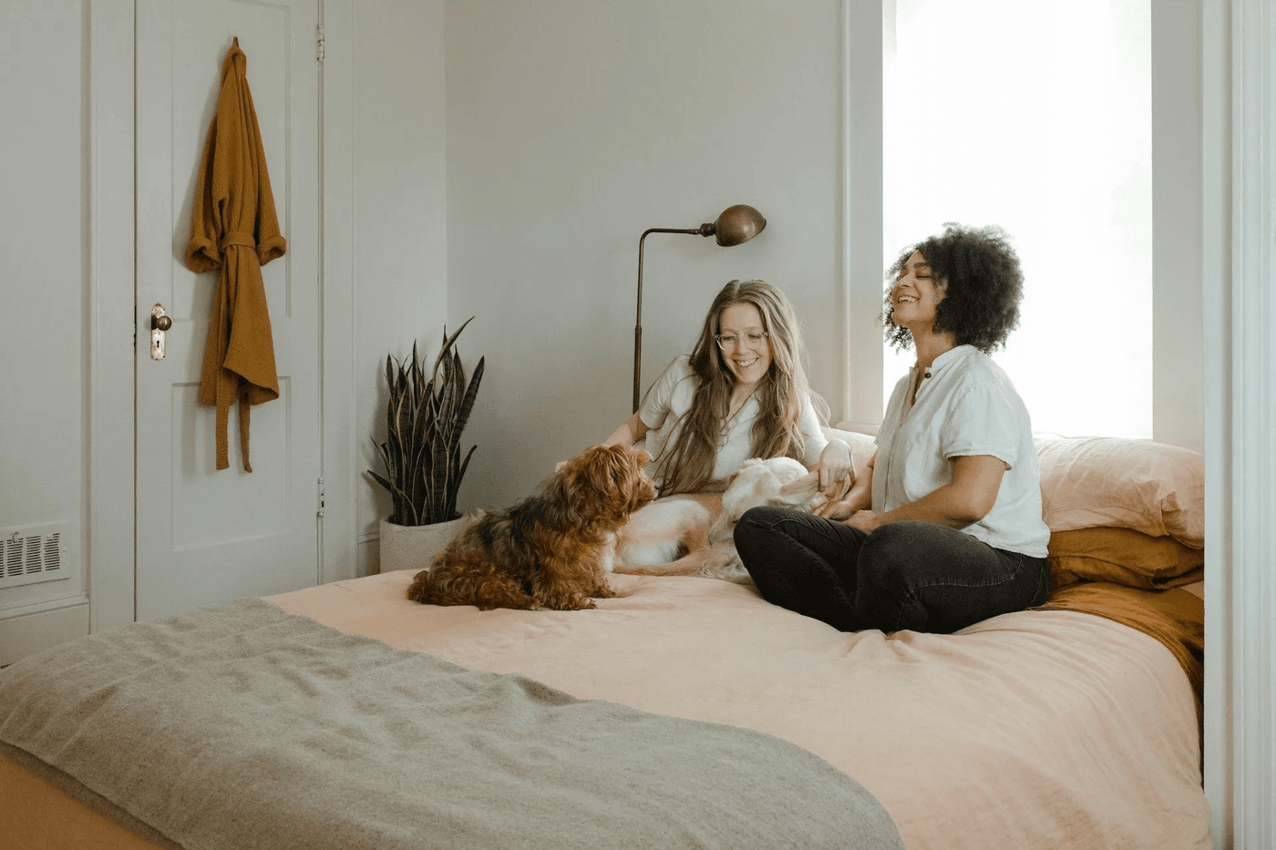 Moving with Pets: A Complete Guide to Relocating with Your Furry Friends